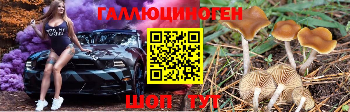 Галлюциногенные грибы Magic Shrooms  Галлюциногенные грибы Psilocybe  Татарск  Вход с VPN 