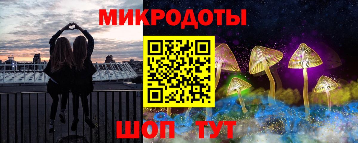 Галлюциногенные грибы Psilocybine cubensis Татарск